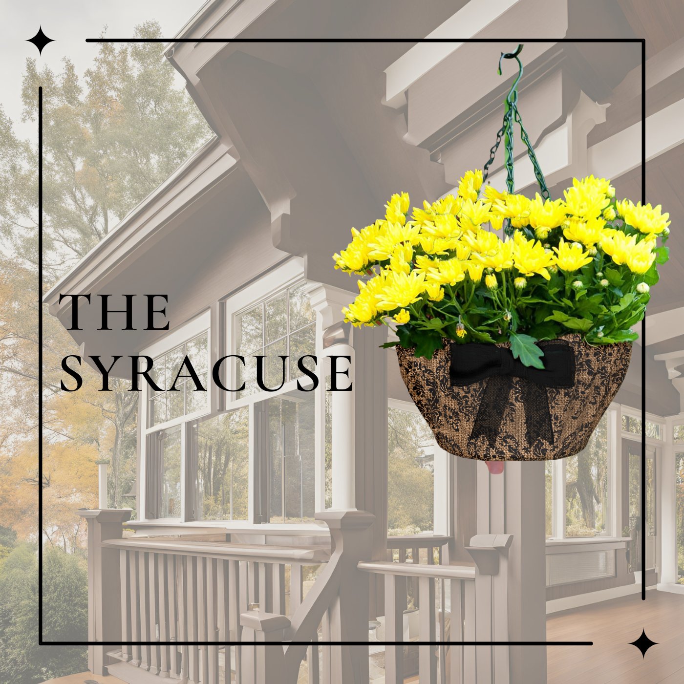 The Syracuse