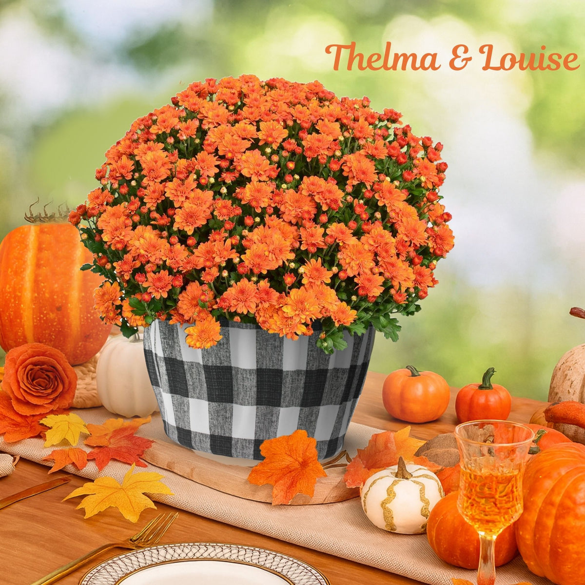 Hanging Basket/Flowerpot Cover - Thelma & Louise